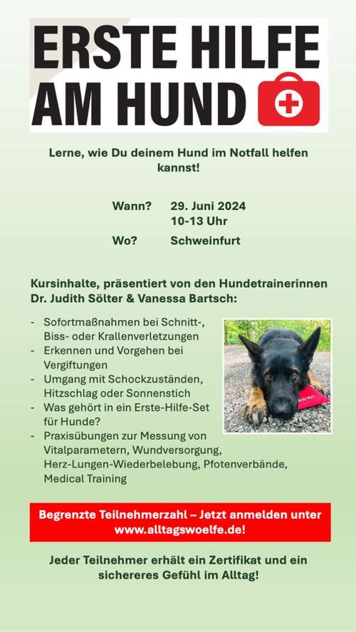 Hundeauslaufgebiet-Alltagswölfe GbR-Bild