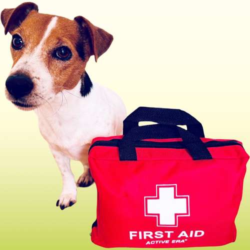 Hundeauslaufgebiet-Alltagswölfe GbR-Bild