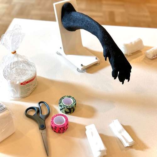 Hundeauslaufgebiet-Alltagswölfe GbR-Bild