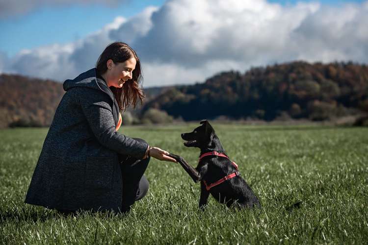 Hundeauslaufgebiet-Hundeschule Dogtastic-Bild