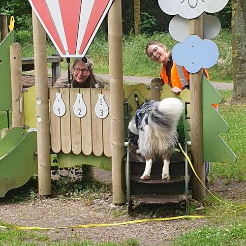Hundeauslaufgebiet-Hundeschule & Spielplatz Liane Vogel-Bild
