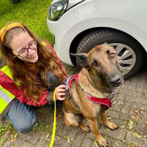 Hundeauslaufgebiet-Hundeschule & Spielplatz Liane Vogel-Bild