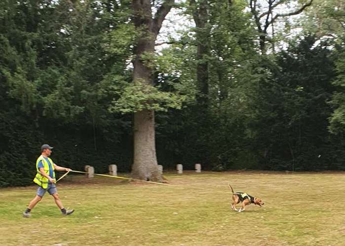 Hundeauslaufgebiet-Hundeschule & Hundespielplatz Vogel-Bild