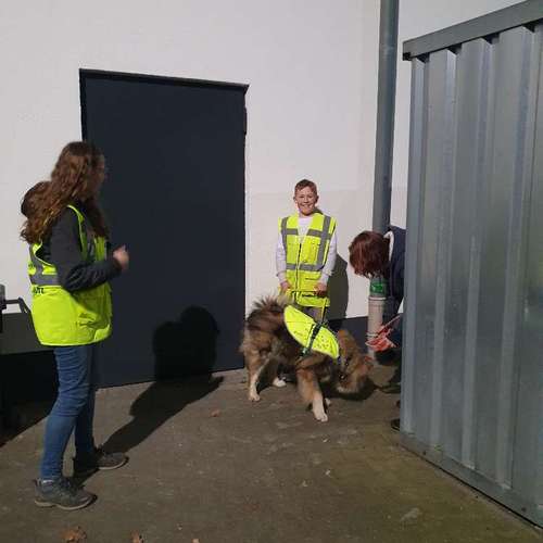 Hundeauslaufgebiet-Hundeschule & Spielplatz Liane Vogel-Bild