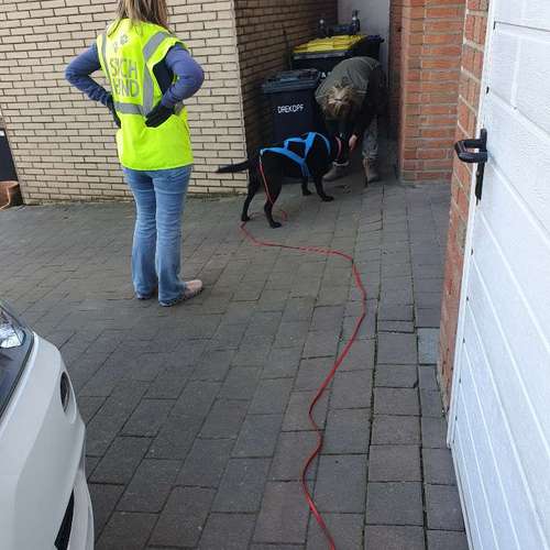 Hundeauslaufgebiet-Hundeschule & Spielplatz Liane Vogel-Bild
