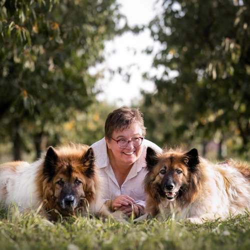Hundeauslaufgebiet-Tierisch gut trainiert-Bild