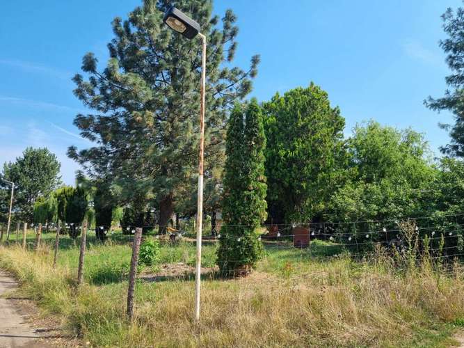 Hundeauslaufgebiet-Leinen Ab e.V-Bild