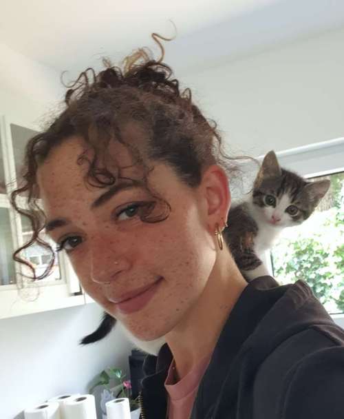 Hundeauslaufgebiet-AllPaws Coaching-Bild