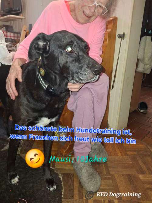 Hundeauslaufgebiet-KED Dogtraining-Bild