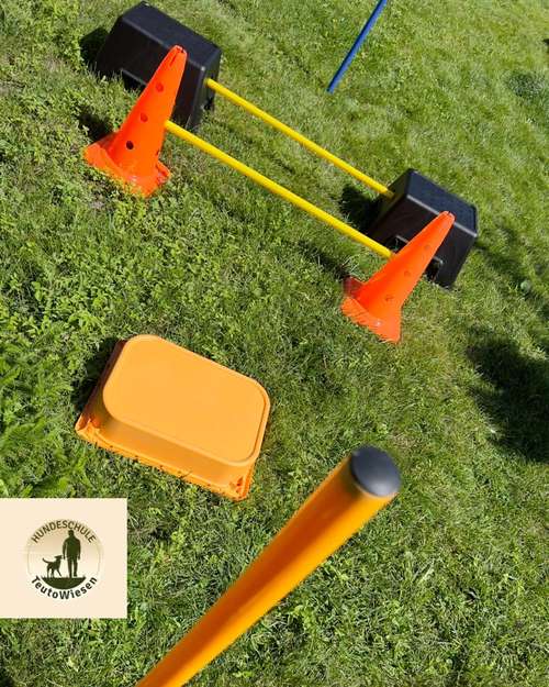 Hundeauslaufgebiet-Hundeschule Teutowiesen-Bild