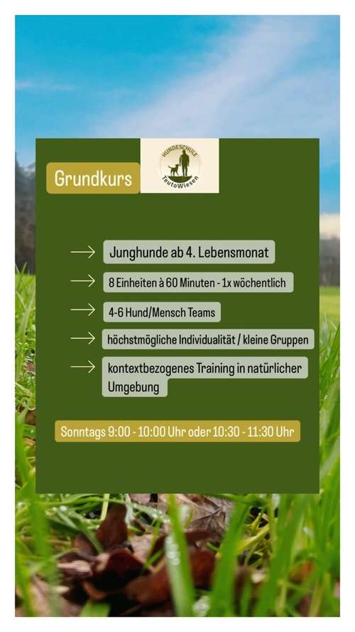 Hundeauslaufgebiet-Hundeschule Teutowiesen-Bild