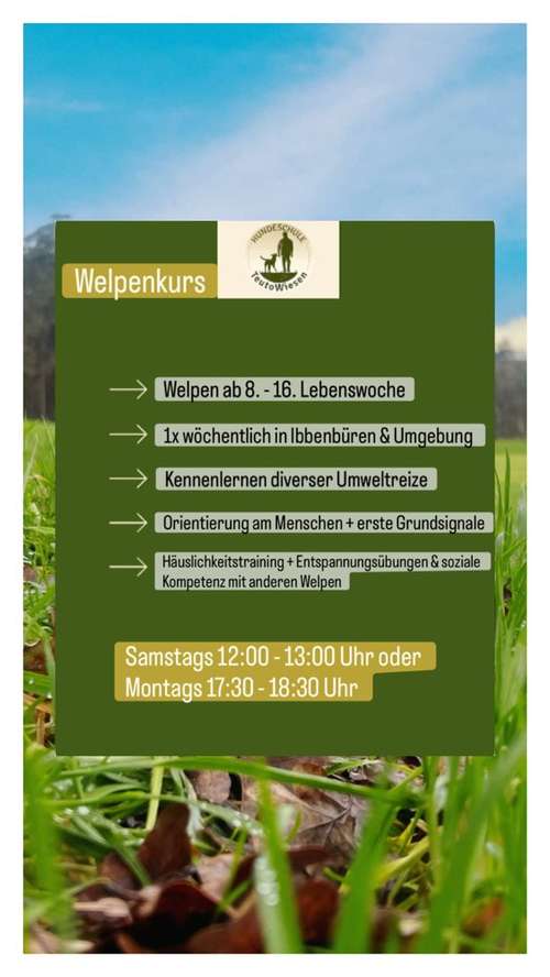 Hundeauslaufgebiet-Hundeschule Teutowiesen-Bild