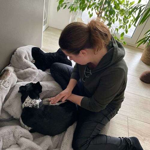 Hundeauslaufgebiet-Physiotherapie4-Pfoten-Bild