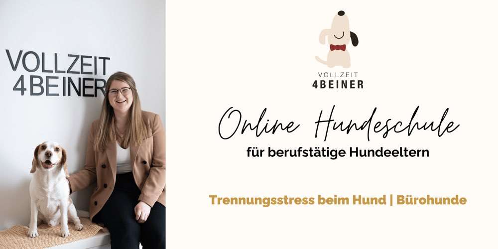 Hundeauslaufgebiet-Vollzeit4Beiner | Hundetraining für das entspannte Alleine Bleiben & Bürohunde-Bild