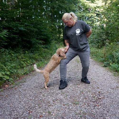 Hundeauslaufgebiet-Hundeschule Sarah Wilcke-Bild