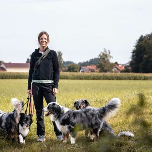 Hundeauslaufgebiet-Coole Pfoten-Bild