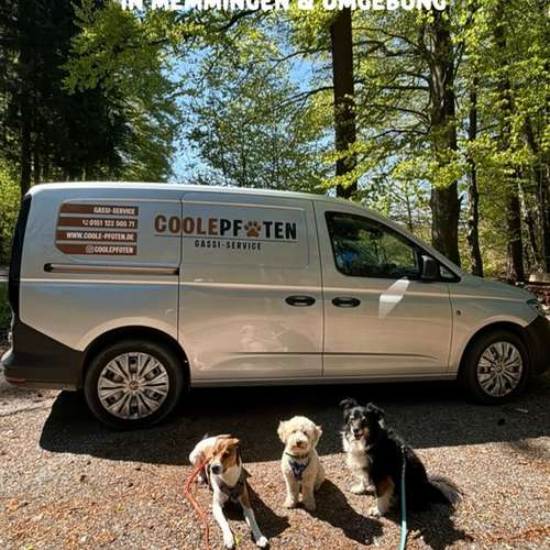 Hundeauslaufgebiet-Coole Pfoten-Bild