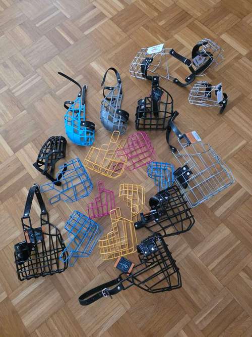 Hundeauslaufgebiet-Canis Cura Hundetraining & mehr-Bild