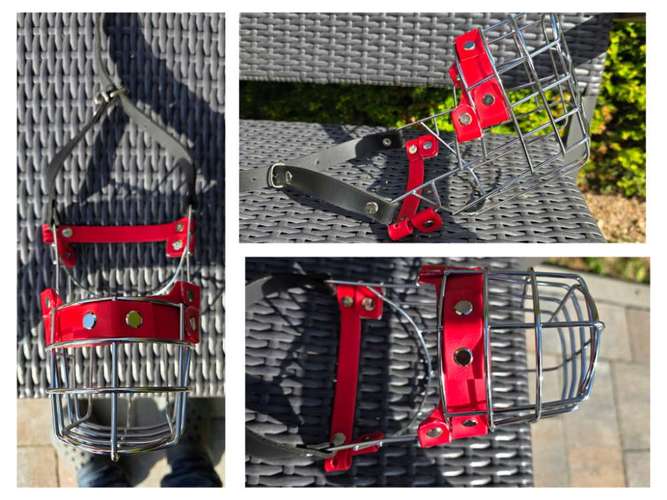 Hundeauslaufgebiet-Canis Cura Hundetraining & mehr-Bild