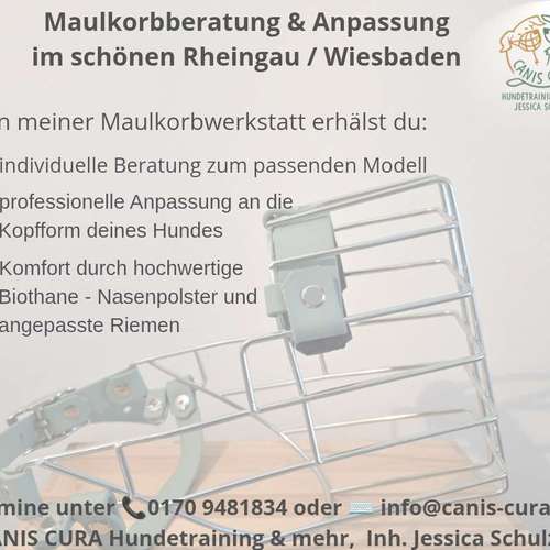 Hundeauslaufgebiet-Canis Cura Problemhundetraining & mehr-Bild