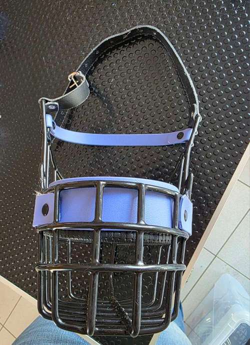 Hundeauslaufgebiet-Canis Cura Hundetraining & mehr-Bild