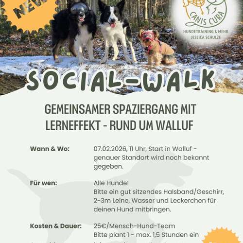 Hundeauslaufgebiet-Canis Cura Hundetraining & mehr-Bild