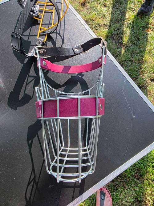 Hundeauslaufgebiet-Canis Cura Hundetraining & mehr-Bild