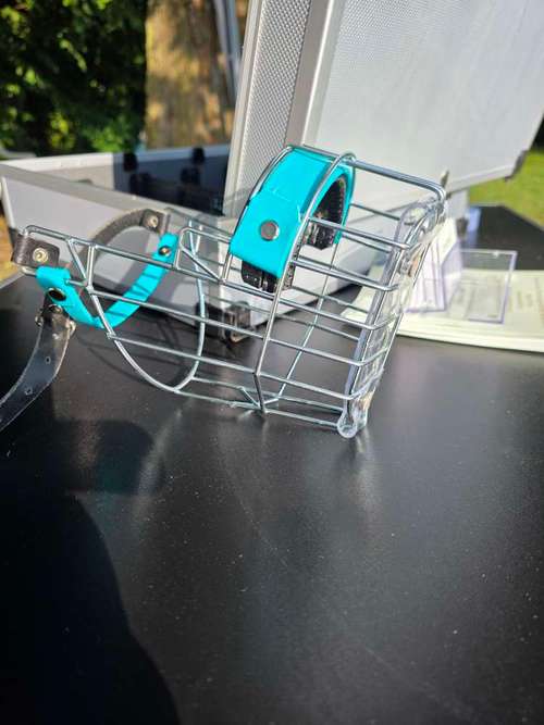 Hundeauslaufgebiet-Canis Cura Hundetraining & mehr-Bild