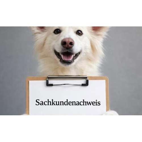 Hundeauslaufgebiet-Way of Dog mobile Hundeschule-Bild