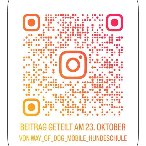 Hundeauslaufgebiet-Way of Dog mobile Hundeschule-Bild