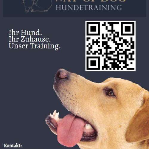 Hundeauslaufgebiet-Way of Dog mobile Hundeschule-Bild