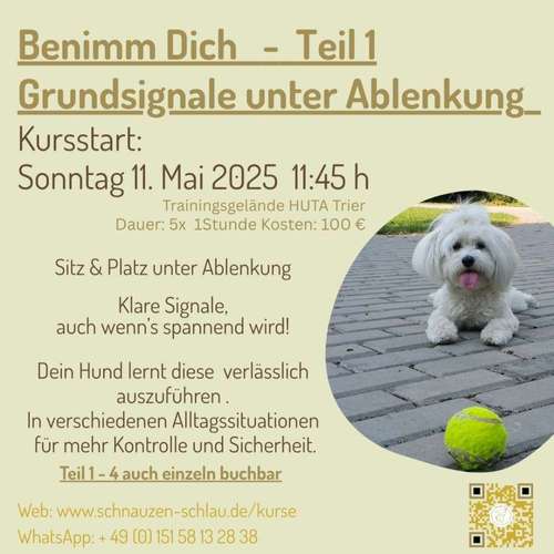 Hundeauslaufgebiet-Hundeschule SchnauzenSchlau-Bild