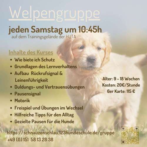 Hundeauslaufgebiet-Hundeschule SchnauzenSchlau-Bild
