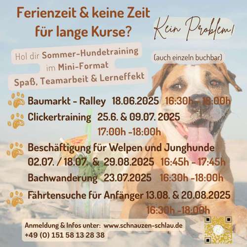 Hundeauslaufgebiet-Hundeschule SchnauzenSchlau-Bild