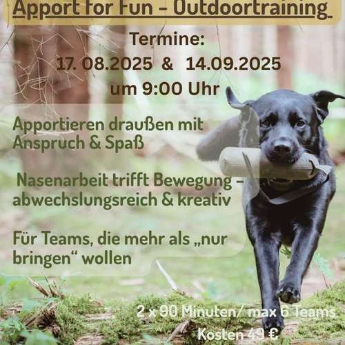 Hundeauslaufgebiet-Hundeschule SchnauzenSchlau-Bild