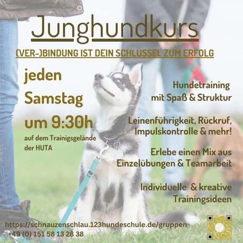 Hundeauslaufgebiet-Hundeschule SchnauzenSchlau-Bild