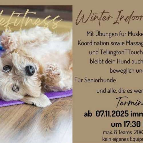 Hundeauslaufgebiet-Hundeschule SchnauzenSchlau-Bild