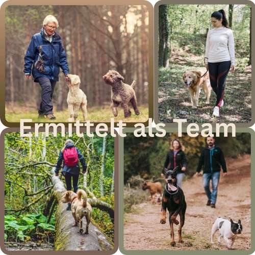 Hundeauslaufgebiet-Hundeschule SchnauzenSchlau-Bild