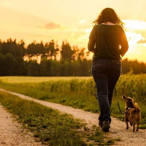 Hundeauslaufgebiet-Sechster Sinn - Coaching Mensch Hund-Bild