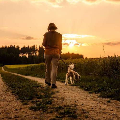 Hundeauslaufgebiet-Sechster Sinn - Coaching Mensch Hund-Bild