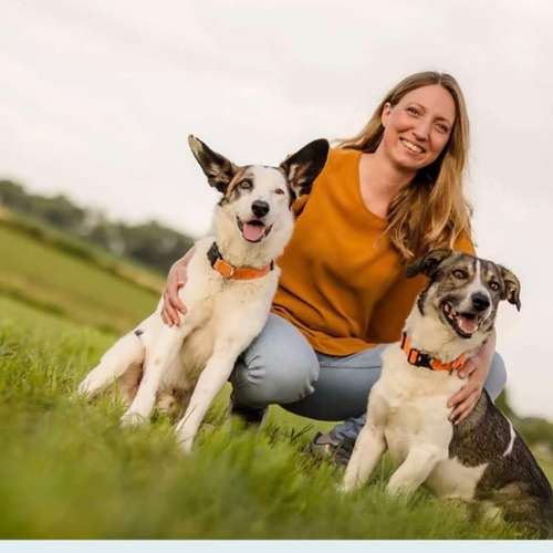 Hundeauslaufgebiet-Sechster Sinn - Coaching Mensch Hund-Bild