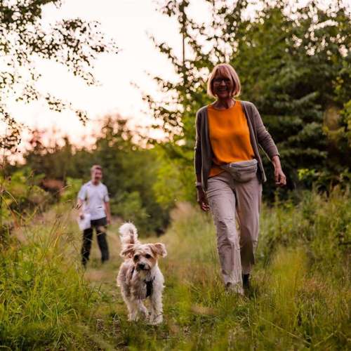 Hundeauslaufgebiet-Sechster Sinn - Coaching Mensch Hund-Bild