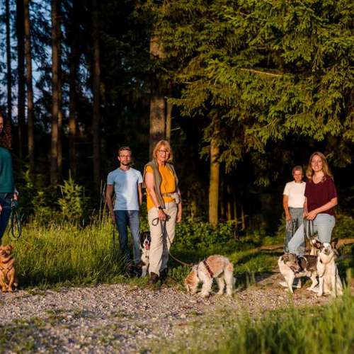 Hundeauslaufgebiet-Sechster Sinn - Coaching Mensch Hund-Bild