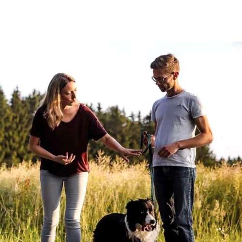 Hundeauslaufgebiet-Sechster Sinn - Coaching Mensch Hund-Bild