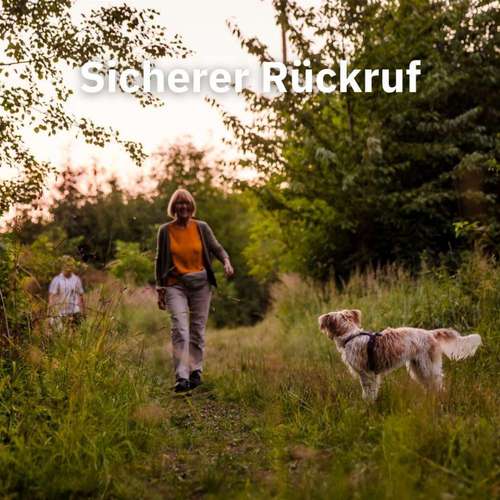 Hundeauslaufgebiet-Sechster Sinn - Coaching Mensch Hund-Bild