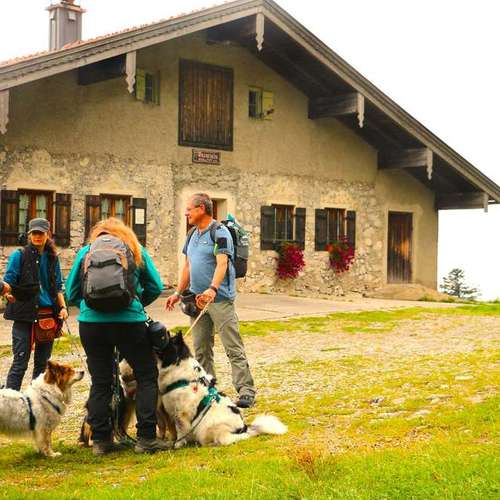Hundeauslaufgebiet-Sechster Sinn - Coaching Mensch Hund-Bild