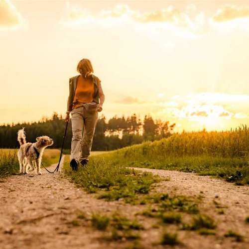 Hundeauslaufgebiet-Sechster Sinn - Coaching Mensch Hund-Bild