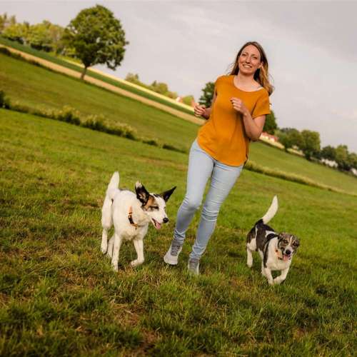 Hundeauslaufgebiet-Sechster Sinn - Coaching Mensch Hund-Bild