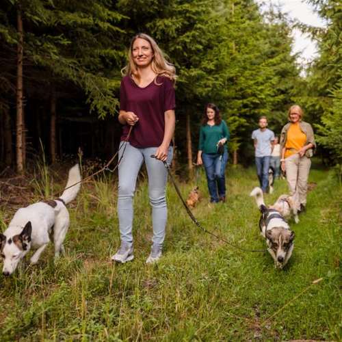 Hundeauslaufgebiet-Sechster Sinn - Coaching Mensch Hund-Bild