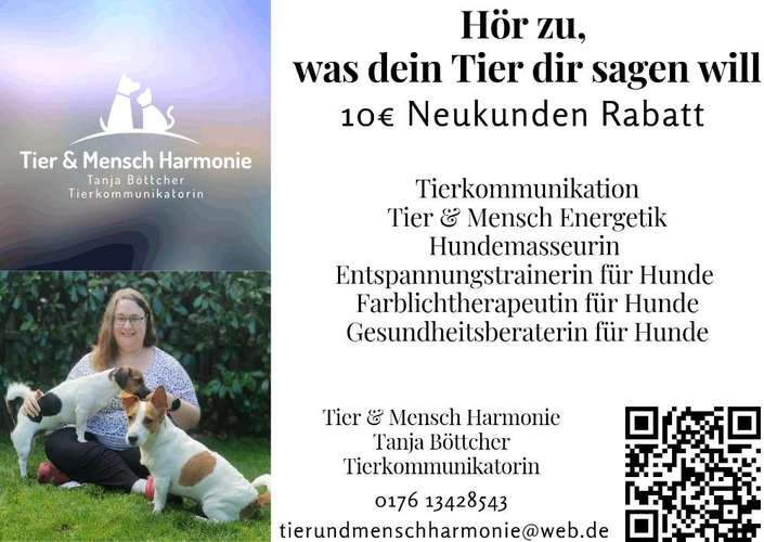 Hundeauslaufgebiet-Tier & Mensch Harmonie-Bild